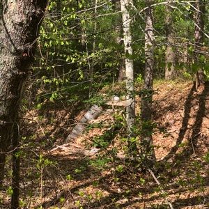 Meet your Posher, Katelyn